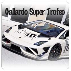 MS Motorsport Carries performance parts for the Gallardo Super Trofeo Race cars