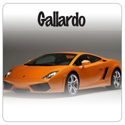 Find your Pagid Racing brakepads for your Lamborghini Gallardo.