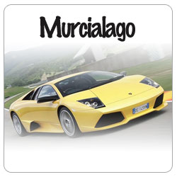Find the correct Pagid Racing brakepads for your Lamborghini Murcialago