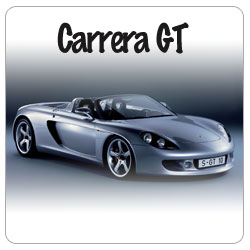 Find the right Pagid Racing brakepads for your Porsche Carrera GT.