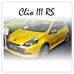 Find the correct Pagid Racing brakepads for your Renault Clio RS